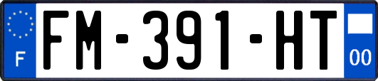 FM-391-HT
