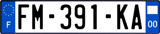 FM-391-KA
