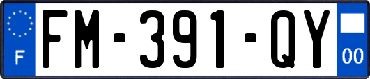 FM-391-QY