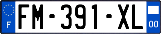FM-391-XL