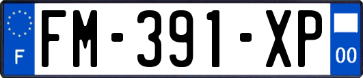 FM-391-XP