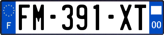 FM-391-XT