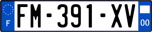 FM-391-XV