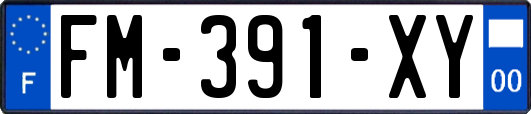 FM-391-XY