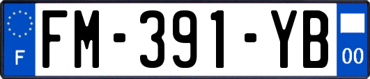 FM-391-YB