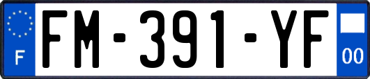 FM-391-YF