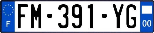 FM-391-YG