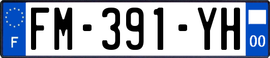 FM-391-YH
