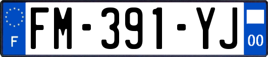 FM-391-YJ
