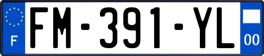 FM-391-YL