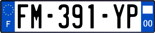 FM-391-YP