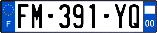 FM-391-YQ