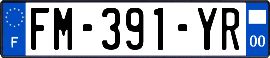 FM-391-YR