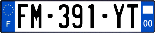 FM-391-YT