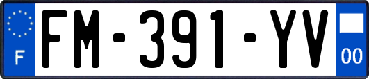 FM-391-YV