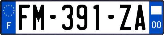FM-391-ZA
