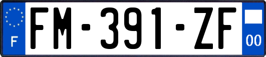 FM-391-ZF