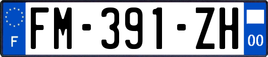 FM-391-ZH