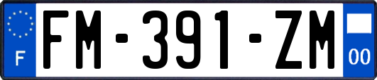 FM-391-ZM
