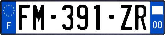 FM-391-ZR