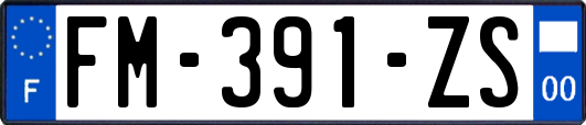 FM-391-ZS