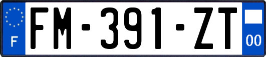 FM-391-ZT