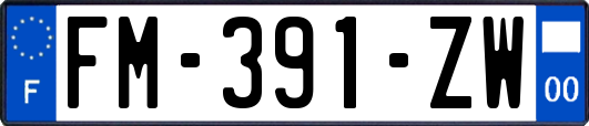 FM-391-ZW