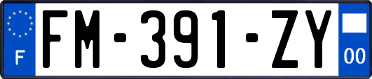FM-391-ZY