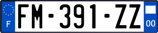 FM-391-ZZ