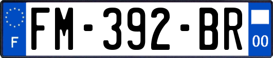 FM-392-BR