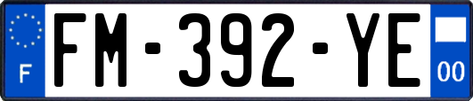 FM-392-YE