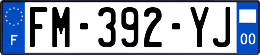 FM-392-YJ