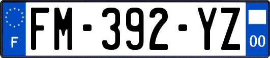 FM-392-YZ
