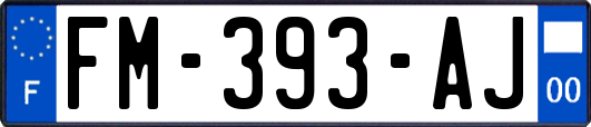 FM-393-AJ