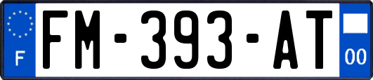 FM-393-AT