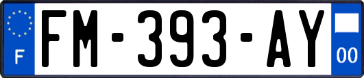 FM-393-AY