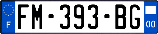 FM-393-BG