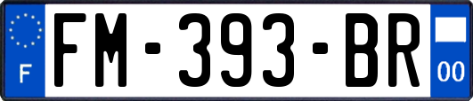 FM-393-BR