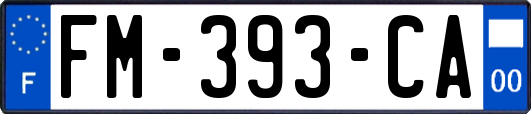 FM-393-CA