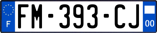 FM-393-CJ