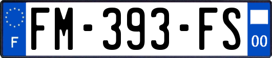 FM-393-FS