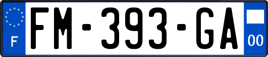 FM-393-GA
