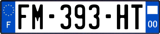 FM-393-HT
