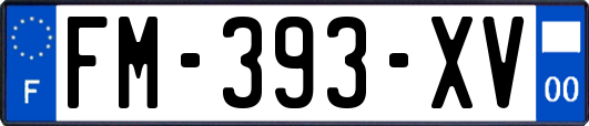 FM-393-XV