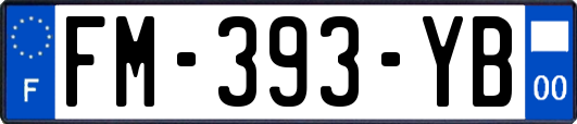 FM-393-YB