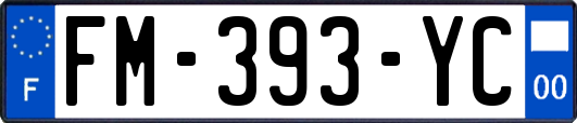 FM-393-YC