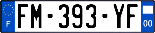 FM-393-YF