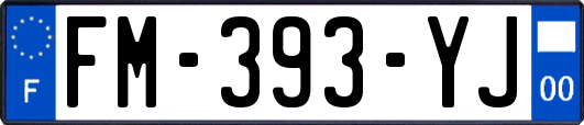 FM-393-YJ