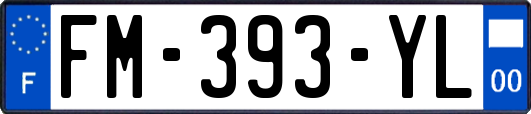 FM-393-YL