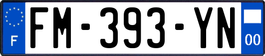 FM-393-YN